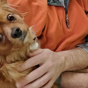 Meet your Posher, Melissa